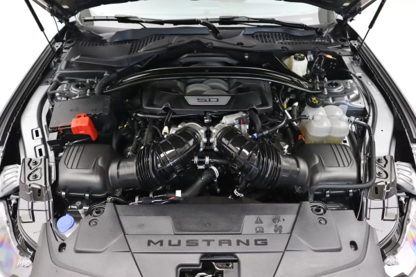 Foto do veiculo FORD MUSTANG GT PERFORMANCE