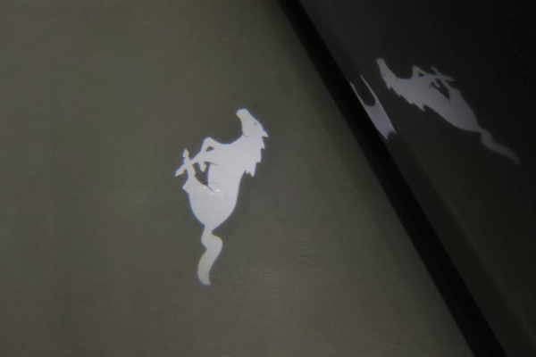 Foto do veiculo FORD MUSTANG DARK HORSE