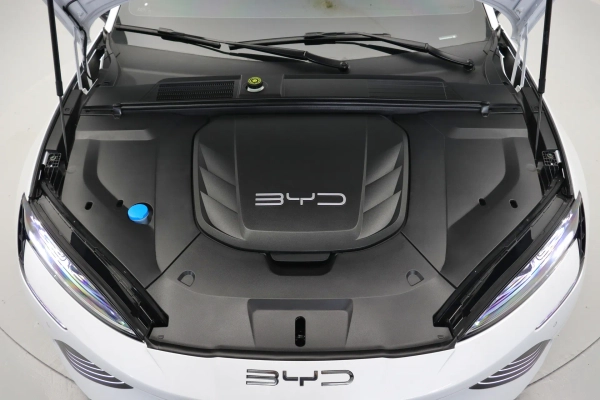 Foto do veiculo BYD SEAL GS EV AWD