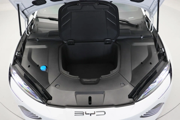 Foto do veiculo BYD SEAL GS EV AWD