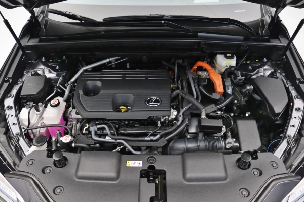 Foto do veiculo LEXUS NX 350H LUXURY