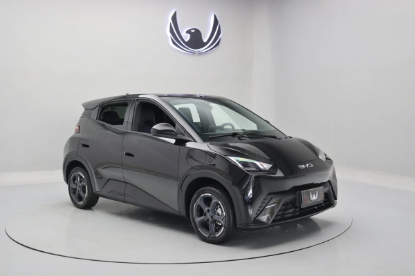 Foto do veiculo BYD DOLPHIN MINI GS