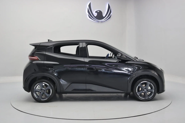 Foto do veiculo BYD DOLPHIN MINI GS