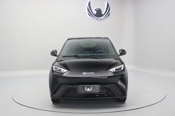 Foto do veiculo BYD DOLPHIN MINI GS