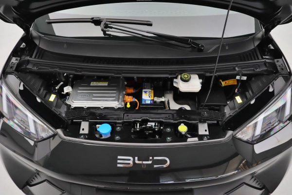 Foto do veiculo BYD DOLPHIN MINI GS