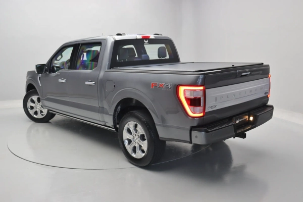 Foto do veiculo FORD F-150 PLATINUM
