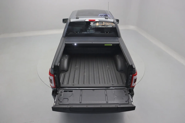 Foto do veiculo FORD F-150 PLATINUM