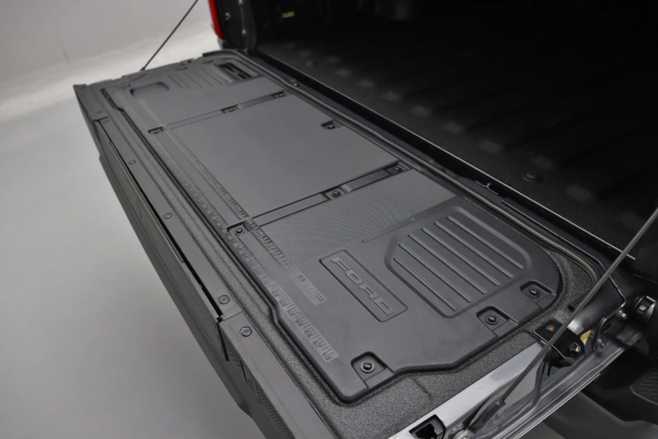 Foto do veiculo FORD F-150 PLATINUM