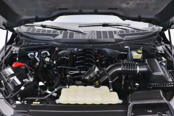 Foto do veiculo FORD F-150 PLATINUM