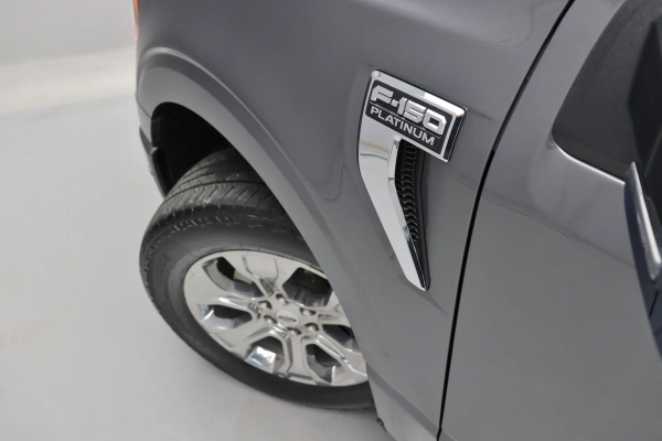 Foto do veiculo FORD F-150 PLATINUM