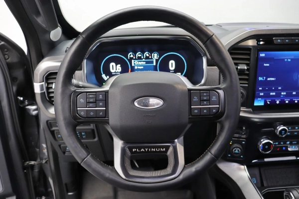 Foto do veiculo FORD F-150 PLATINUM