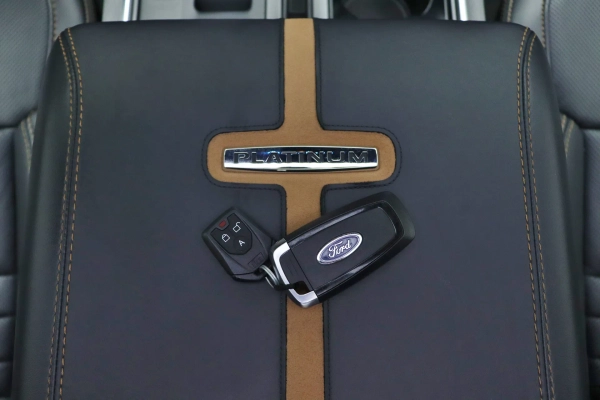 Foto do veiculo FORD F-150 PLATINUM