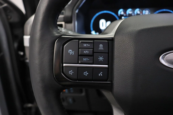 Foto do veiculo FORD F-150 PLATINUM