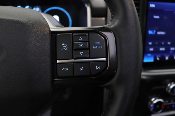 Foto do veiculo FORD F-150 PLATINUM