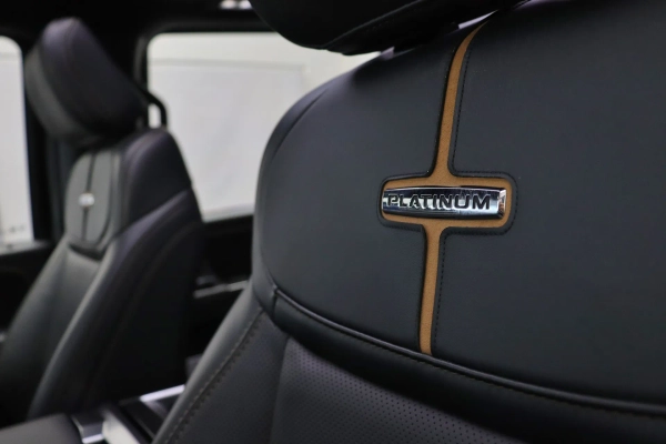 Foto do veiculo FORD F-150 PLATINUM