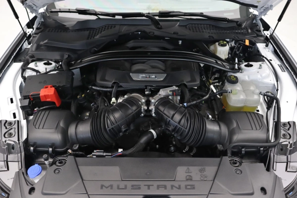 Foto do veiculo FORD MUSTANG GT PERFORMANCE MANUAL