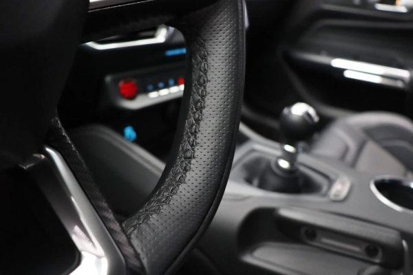 Foto do veiculo FORD MUSTANG GT PERFORMANCE MANUAL