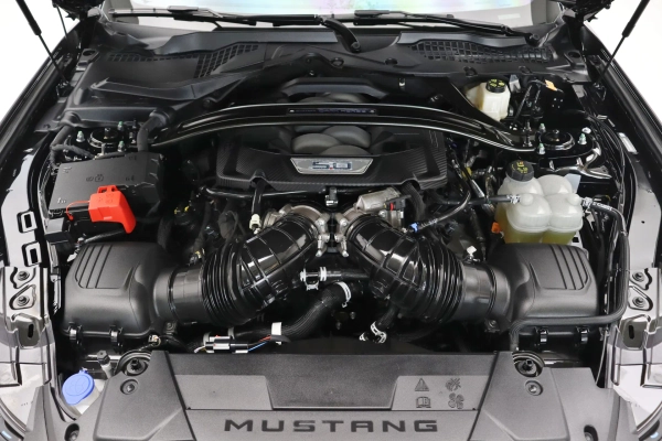 Foto do veiculo FORD MUSTANG DARK HORSE