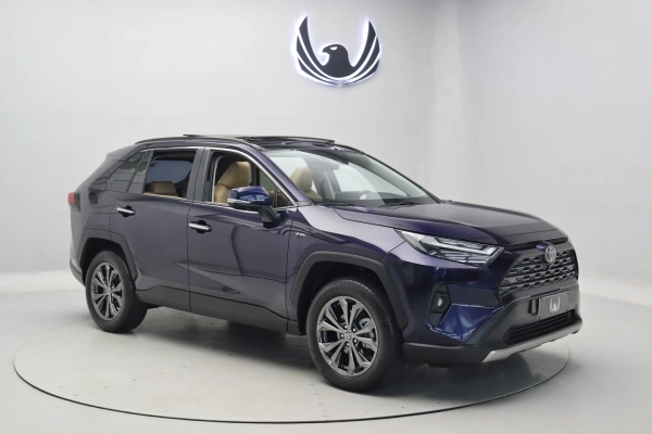 Foto do veiculo TOYOTA RAV4 SX Connect HEV